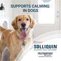 Solliquin Behavioral Health Supplement for Large Dogs, 75 Soft Chews