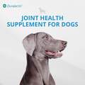 Duralactin Canine Joint Plus Soft Chews