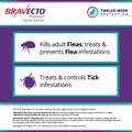 Bravecto Topical Solution for Cats