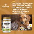 NaturVet Omega Gold Plus Salmon Oil Soft Chews