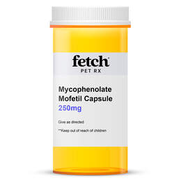 Mycophenolate Mofetil 250 mg Capsule