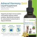 Pet Wellbeing Adrenal Harmony Gold for Dogs and Cats