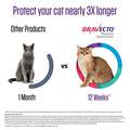 Bravecto Topical Solution for Cats