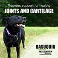 Dasuquin Soft Chews