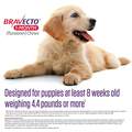 Bravecto 1-Month Chews