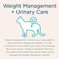 Blue Buffalo Natural Veterinary Diet W+U Weight Management + Urinary Care Cat Food (24 x 5.5 oz) Cans