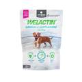 Welactin Omega-3 Skin & Coat Health plus Overall Wellness Supplement for Dogs, 60 Soft Chews