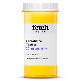 Famotidine Tablet