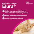 Elura (capromorelin oral solution) 20 mg/mL for Cats, 15 ml