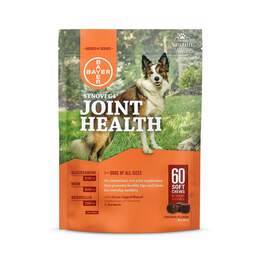 Synovi G4 Joint Health Soft Chews for Dogs