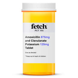 Amoxicillin 875 mg and Clavulanate Potassium 125 mg Tablet