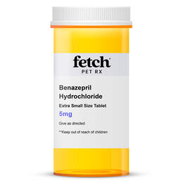 Benazepril Hydrochloride Tablet