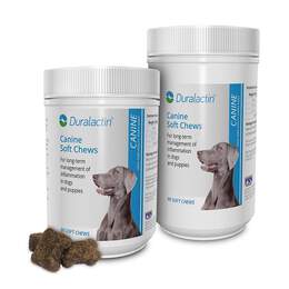 Duralactin Canine Soft Chews