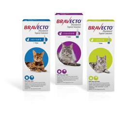 Bravecto Topical Solution for Cats