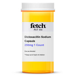 Dicloxacillin Sodium Capsule