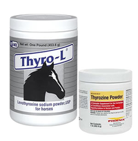 Horse Thyroid Medications