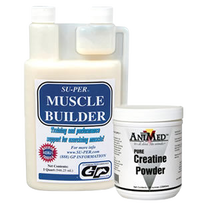 Horse muscle builders