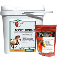 Horse immune supplements