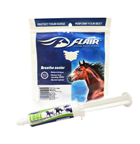 Horse Allergy Respiratory