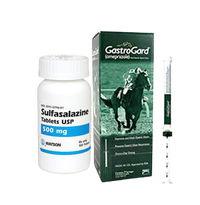 Horse gastric ulcer colitis