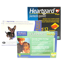 Dog heartworm