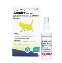 Cat allergy & skin medication